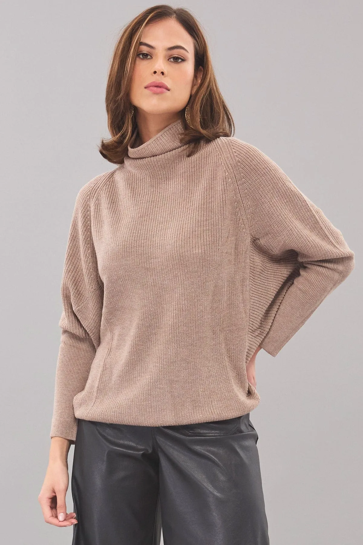 Batwing Mock Neck Sweater